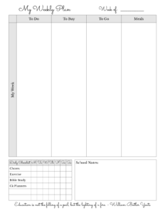 Teacher Edition One-Page Example 4